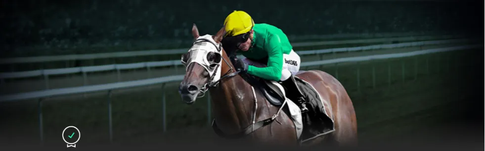 马雷斯卡亲,小时内的至,暗时刻,江南官网,江南体育APP,JiangNan,江南平台