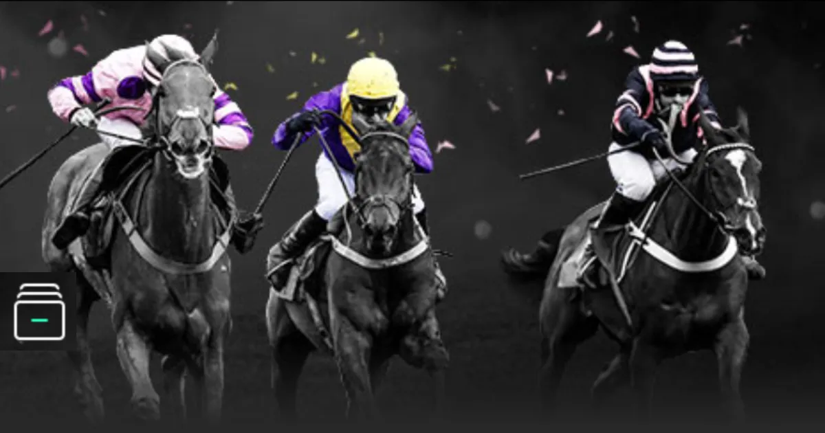 林孝埈在亚,冬会短道速,滑男子,江南官网,江南体育APP,JiangNan,江南平台