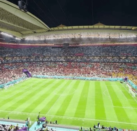 张伟丽荣膺,世界最佳女,子格斗手称,江南官网,江南体育APP,JiangNan,江南平台