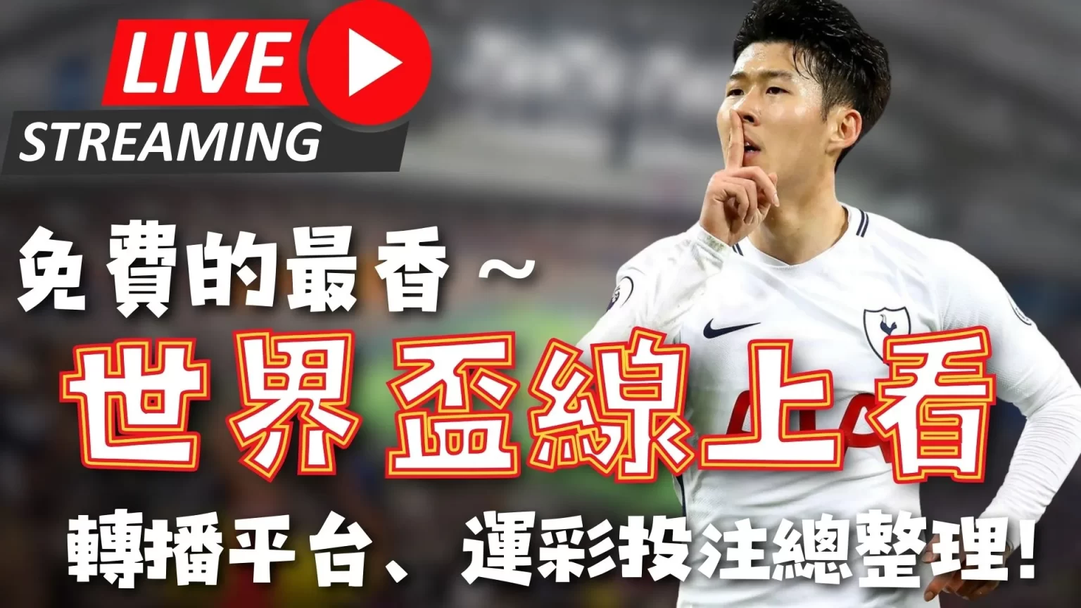 腾冲北海湿,地首现白腹,锦鸡求偶奇,江南官网,江南体育APP,JiangNan,江南平台