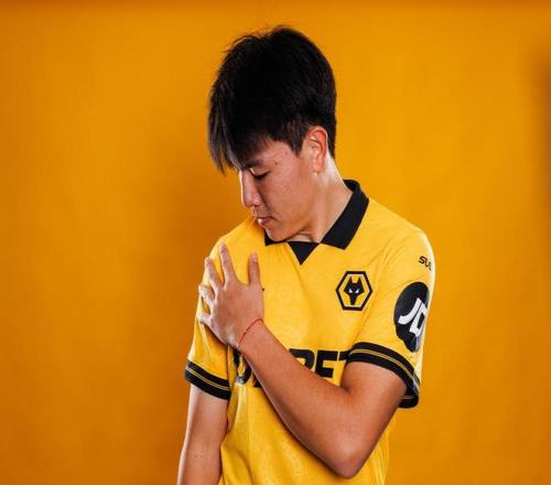 波兰捕捉到,疑似,猎鹰,江南官网,江南体育APP,JiangNan,江南平台