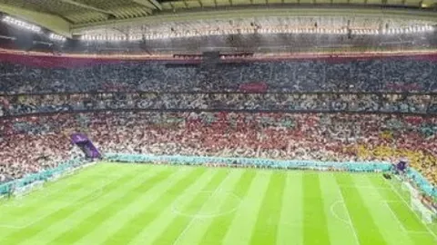 张伟丽荣膺世界最佳女子格斗手称号，央视体育报道